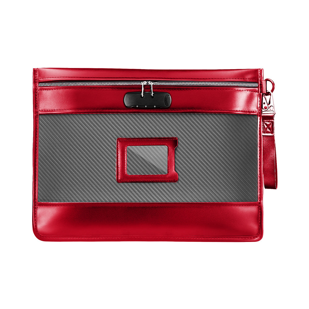 Secure Document Case